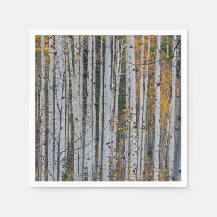 Aspen in de herfst servet