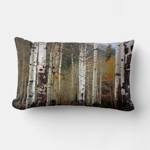 Aspen in de Rocky Mountains Kussen