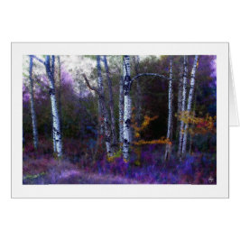 Aspen in Paarse en blauwe kleur