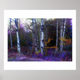 Aspen in Paarse en blauwe kleur Poster