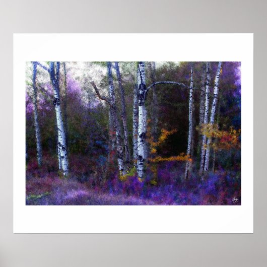 Aspen in Paarse en blauwe kleur Poster (Voorkant)