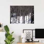 Aspen in Snow Poster (Thuiskantoor)