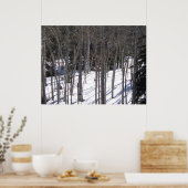 Aspen in Snow Poster (Keuken)