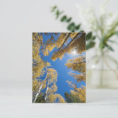 Aspen is overal briefkaart (Staand voorkant)