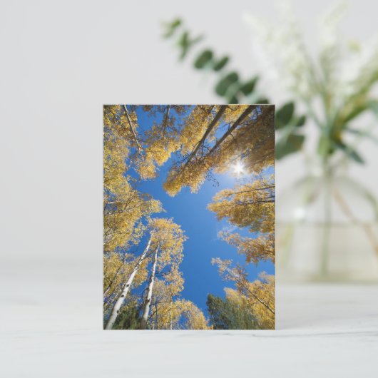 Aspen is overal briefkaart (Staand voorkant)