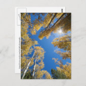 Aspen is overal briefkaart (Voorkant / Achterkant)