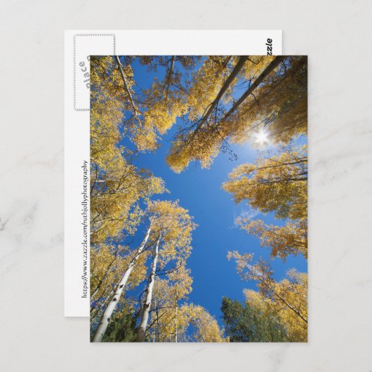 Aspen is overal briefkaart (Voorkant / Achterkant)