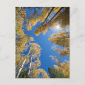 Aspen is overal briefkaart (Voorkant)