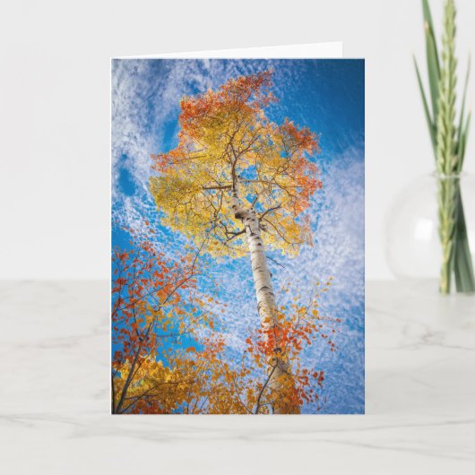 Aspen Kaart, leeg van binnen Kaart (Voorkant)