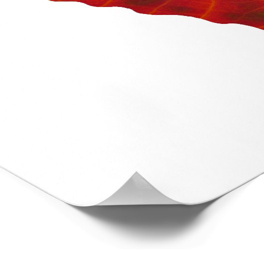 Aspen Leaf Butterflies Poster (Hoek)