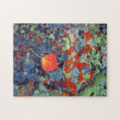 Aspen leaf op een korstbedekt gesteente legpuzzel (Horizontaal)