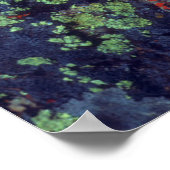 Aspen leaf op een korstbedekt gesteente poster (Hoek)