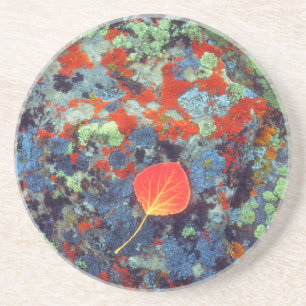 Aspen leaf op een korstbedekt gesteente zandsteen onderzetter