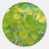 Aspen Leaf Stickers (Voorkant)