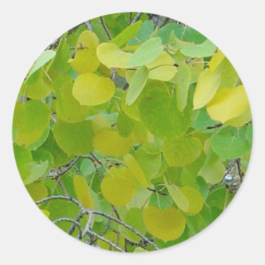Aspen Leaf Stickers (Voorkant)