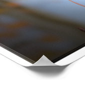 Aspen Leaf wijst de weg Poster (Hoek)