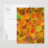 Aspen Leaves Collage Solid Medley 1 Briefkaart (Voorkant / Achterkant)
