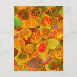 Aspen Leaves Collage Solid Medley 1 Briefkaart