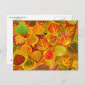 Aspen Leaves Collage Solid Medley 1 Briefkaart (Voorkant / Achterkant)