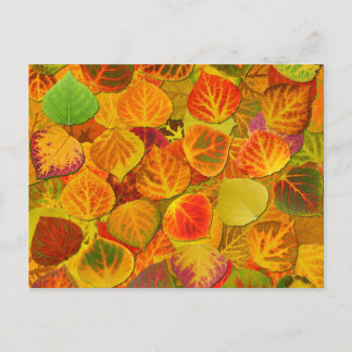 Aspen Leaves Collage Solid Medley 1 Briefkaart