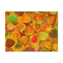 Aspen Leaves Collage Solid Medley 1