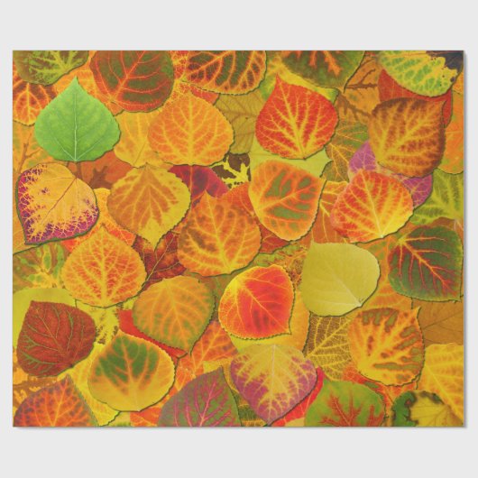 Aspen Leaves Collage Solid Medley 1 Cadeaupapier (Vlak)