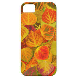 Aspen Leaves Collage Solid Medley 1 Case-Mate iPhone Case
