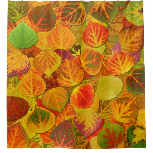 Aspen Leaves Collage Solid Medley 1 Douchegordijn (Voorkant)