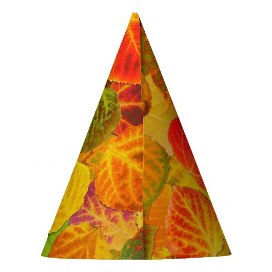 Aspen Leaves Collage Solid Medley 1 Feesthoedjes (Achterkant)