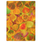 Aspen Leaves Collage Solid Medley 1 Klembord (Achterkant)