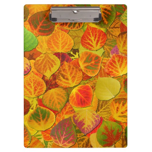 Aspen Leaves Collage Solid Medley 1 Klembord (Voorkant)