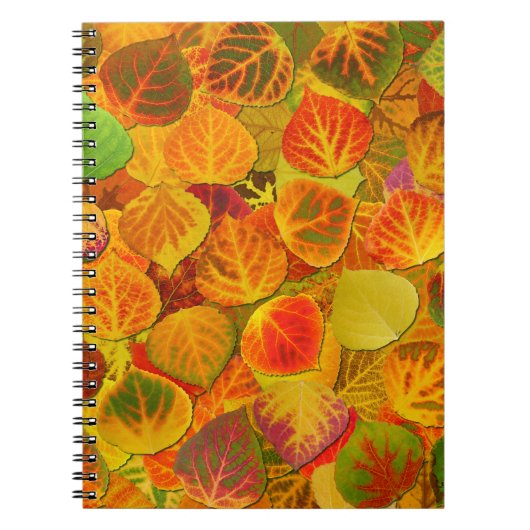Aspen Leaves Collage Solid Medley 1 Notitieboek (Voorkant)