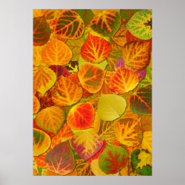Aspen Leaves Collage Solid Medley 1 Poster