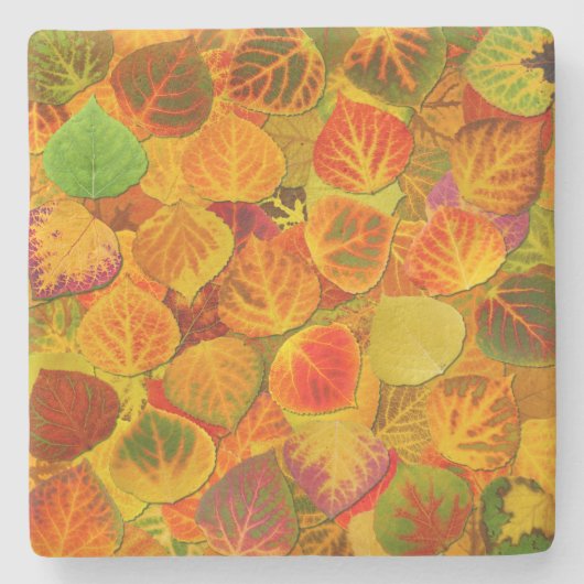 Aspen Leaves Collage Solid Medley 1 Stenen Onderzetter (Voorkant)