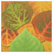 Aspen Leaves Collage Solid Medley 1 Stof (Close Up)