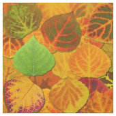 Aspen Leaves Collage Solid Medley 1 Stof (Swatch)