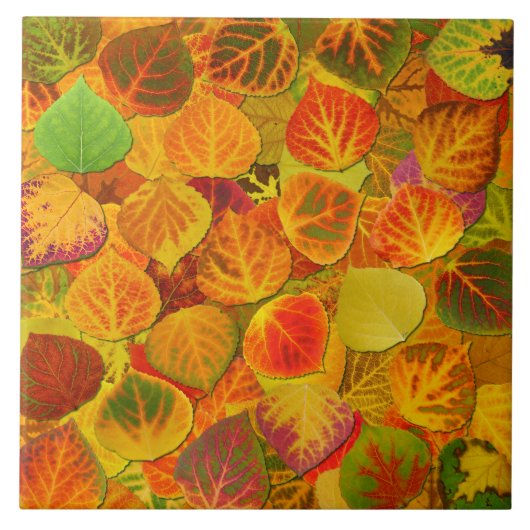 Aspen Leaves Collage Solid Medley 1 Tegeltje (Voorkant)