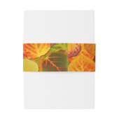 Aspen Leaves Collage Solid Medley 1 Uitnodigingen Wikkel (Achterkant Voorbeeld)