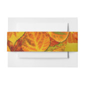 Aspen Leaves Collage Solid Medley 1 Uitnodigingen Wikkel (Voorkant Voorbeeld)