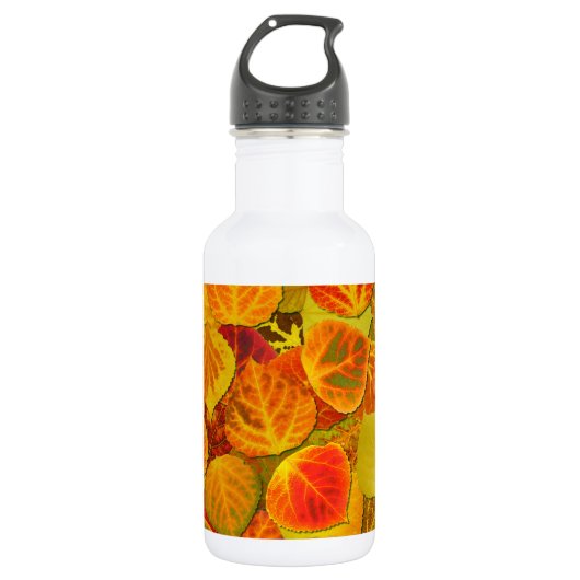 Aspen Leaves Collage Solid Medley 1 Waterfles (Voorkant)