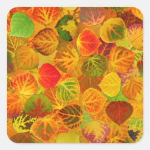 Aspen Leaves collage solid medley naadloos 1 Vierkante Sticker