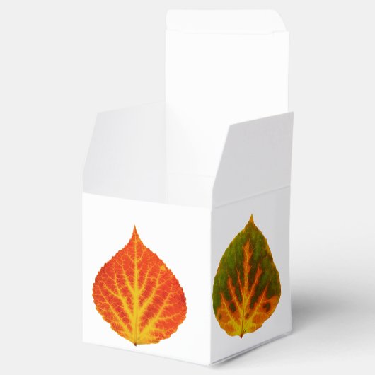 Aspen Leaves Medley Bedankdoosjes (Geopend)