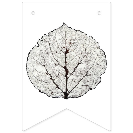 Aspen Leaves Medley Vlaggetjes (Eerste vlag)