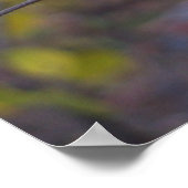 Aspen Leaves Poster (Hoek)