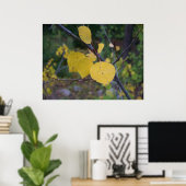 Aspen Leaves Poster (Thuiskantoor)