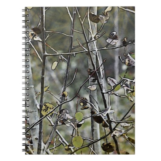 Aspen Notitieboek (Voorkant)