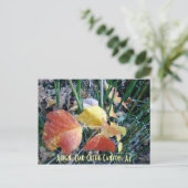 Aspen, Oak Creek Canyon, AZ Briefkaart (Staand voorkant)