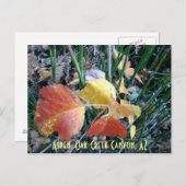 Aspen, Oak Creek Canyon, AZ Briefkaart (Voorkant / Achterkant)