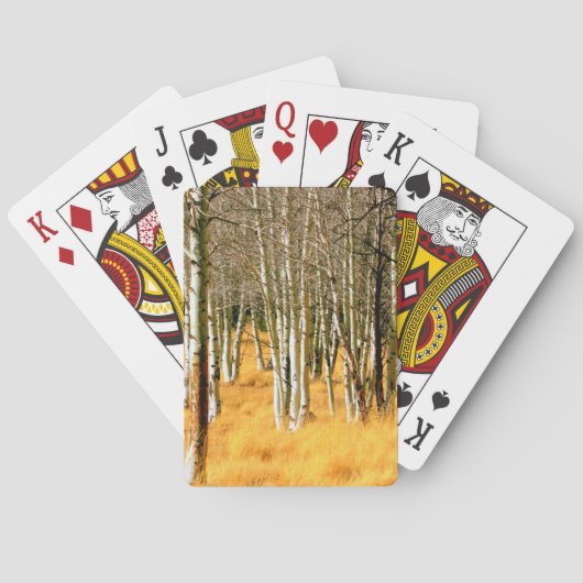 aspen pokerkaarten (Achterkant)
