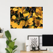 Aspen Poplar Leaves in het najaar Poster (Thuiskantoor)